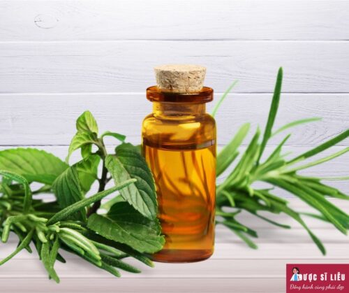 Trị viêm vùng kín bằng tinh dầu tràm trà